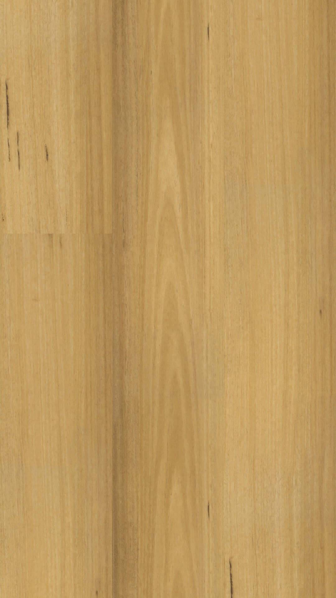 Apollo New England Blackbutt New England Blackbutt 0545 Godfrey Hirst Tradie Secret