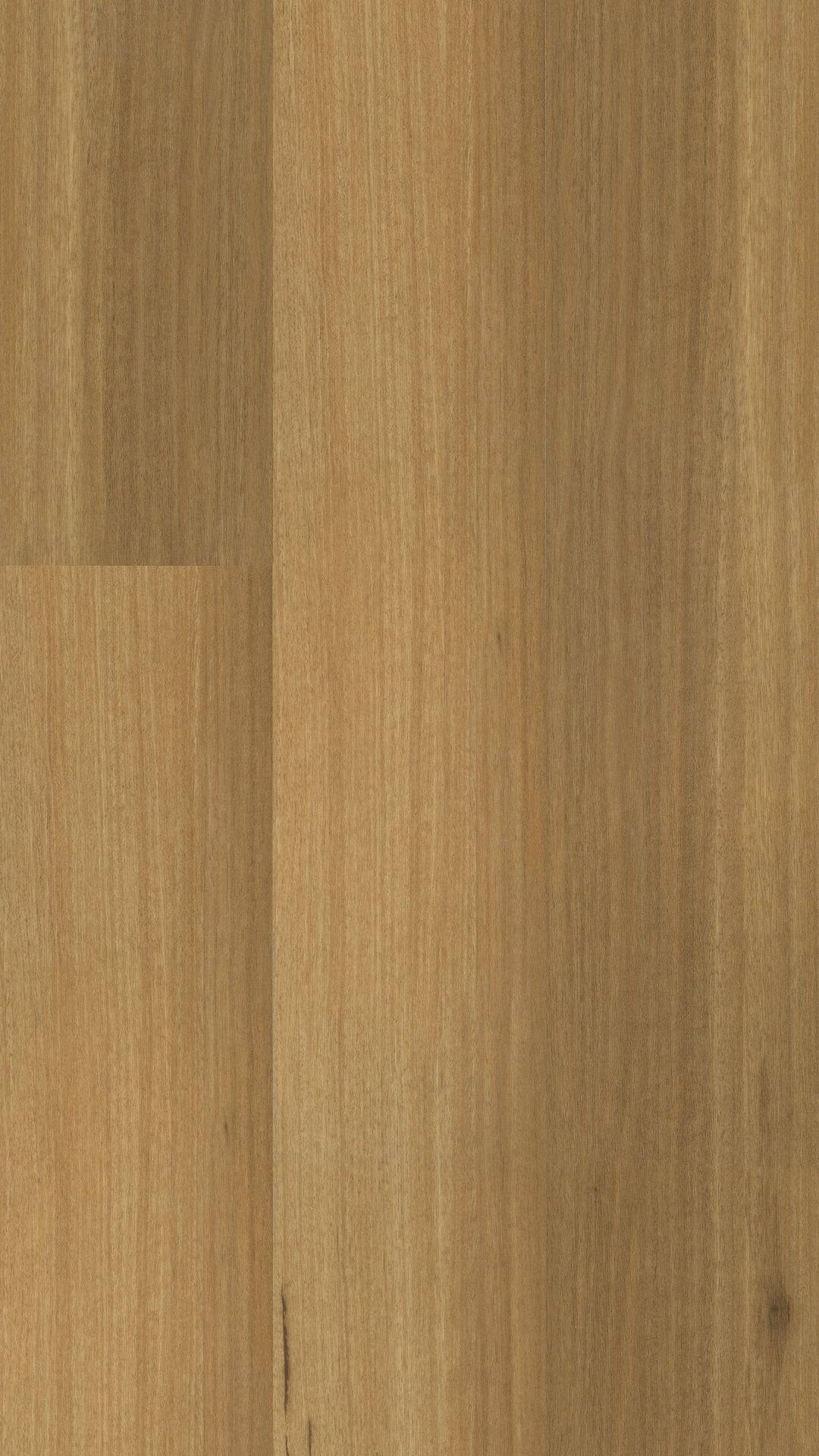 Apollo Tallowood Tallowood 0625 Godfrey Hirst Tradie Secret