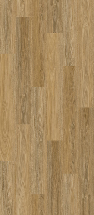 Illusions: Native Spotted Gum