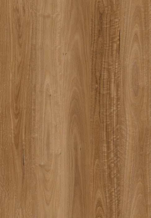 Metropol 1500 Marble Spotted Gum