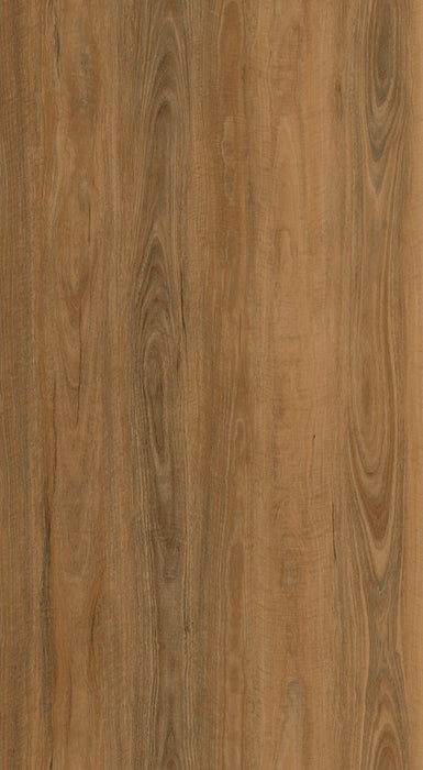 Polaris 1200 Bright Spotted Gum