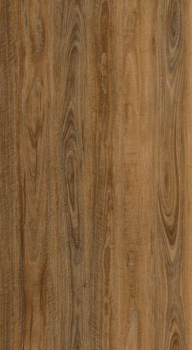 Polaris 1200 Brindle Spotted Gum