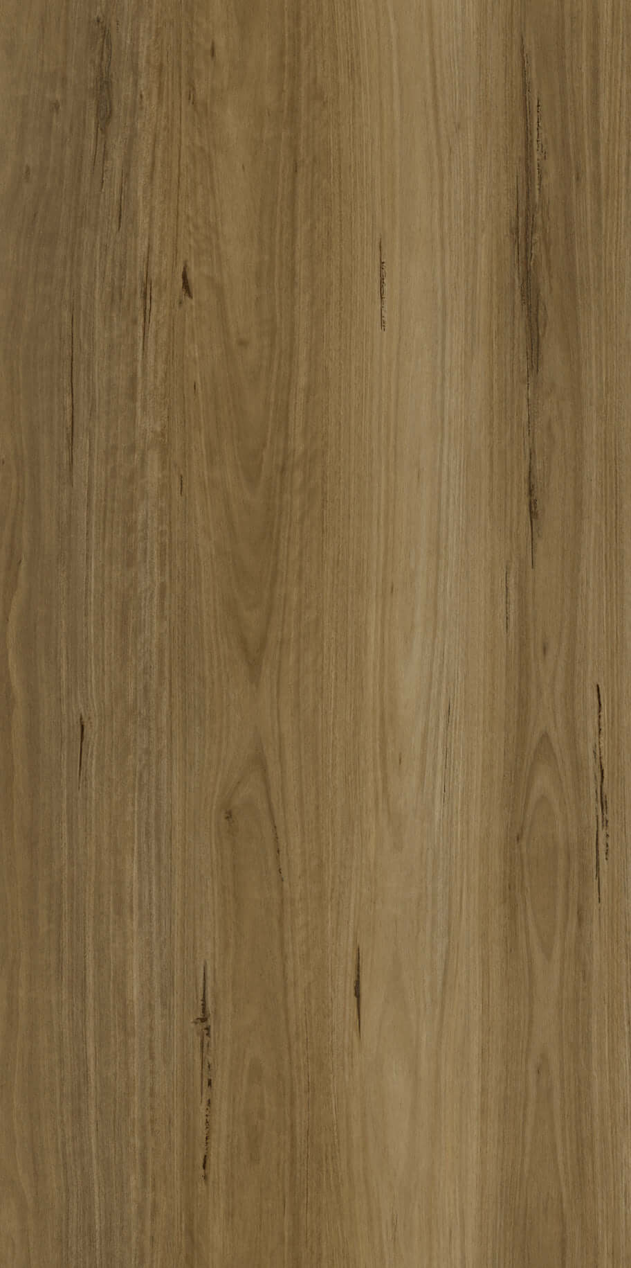 Apollo Hardwood Blackbutt Classic Godfrey Hirst Tradie Secret