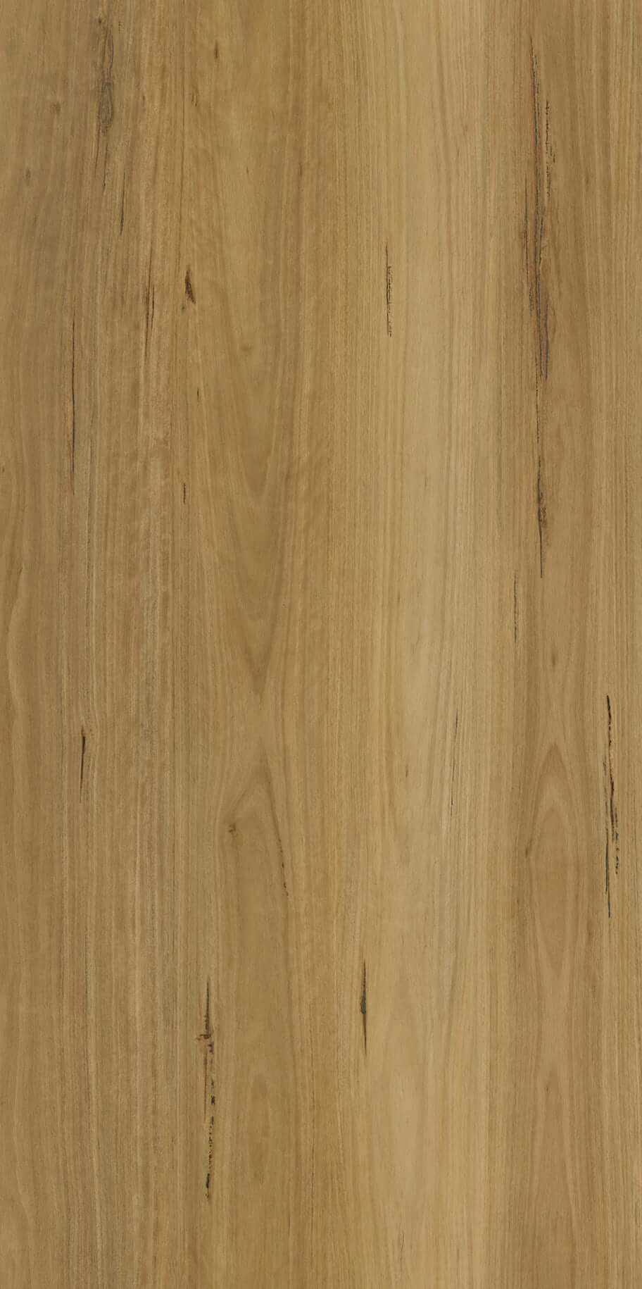 Apollo Hardwood Blackbutt Elegant Godfrey Hirst Tradie Secret