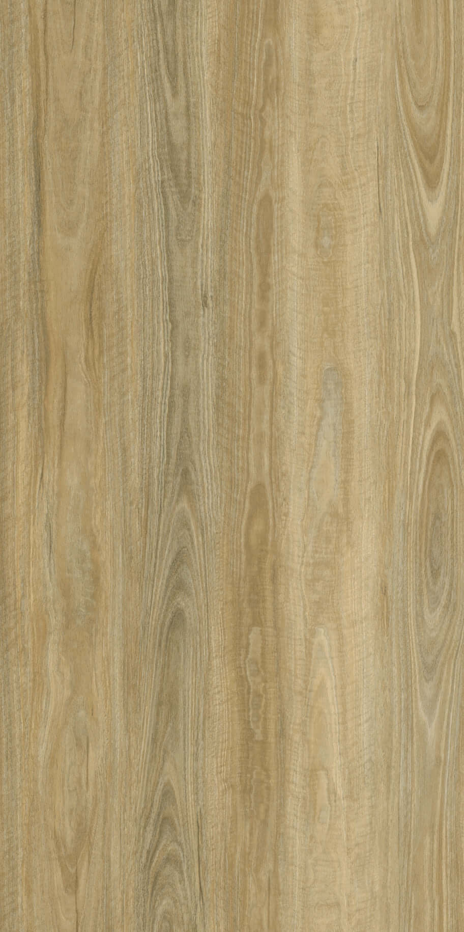 Apollo Hardwood Spotted Gum Blonde Godfrey Hirst Tradie Secret