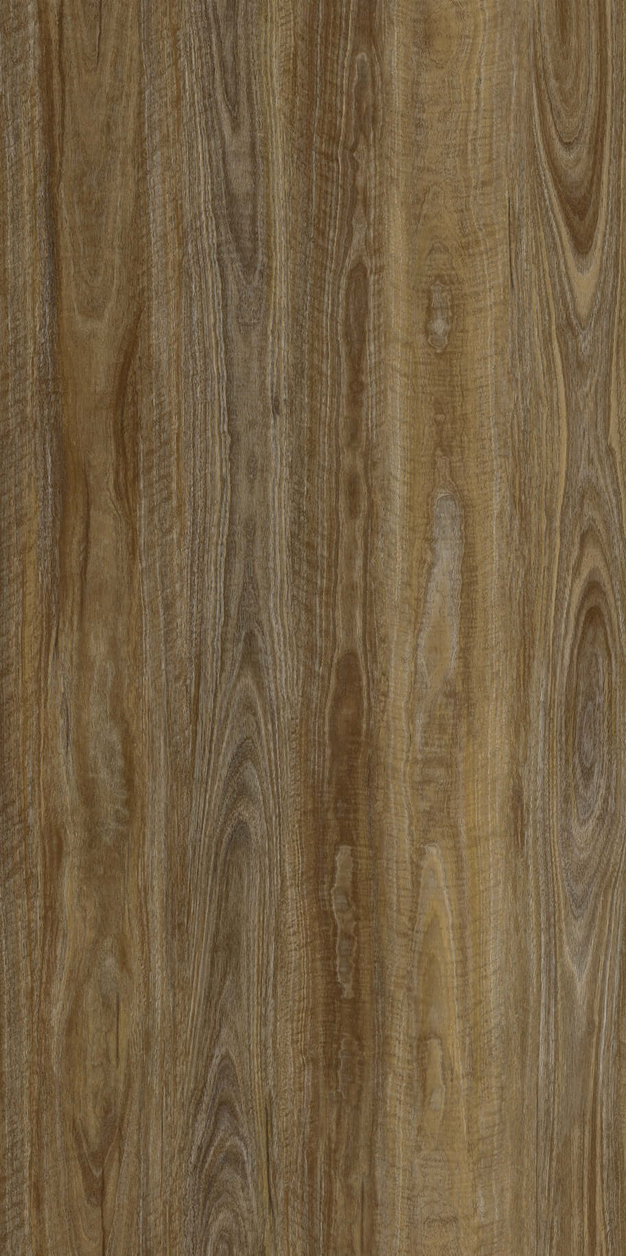 Apollo Hardwood Spotted Gum Natural Godfrey Hirst Tradie Secret