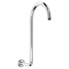 Classical Fixed Swan-Neck Arm, Chrome 422116 Fienza Tradie Secret