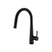 Dolce Pull Out Sink Mixer with Vegie Spray Function, Matte Black NR581009cMB Nero Tradie Secret